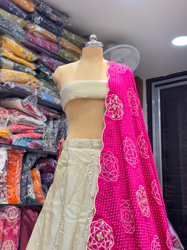 Cosmos Tissue Gota Patti Lehenga