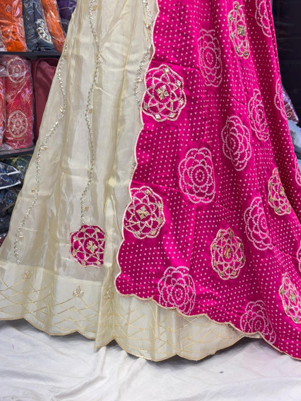 Cosmos Tissue Gota Patti Lehenga