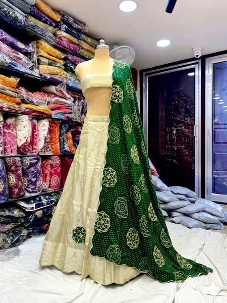 Cosmos Tissue Gota Patti Lehenga
