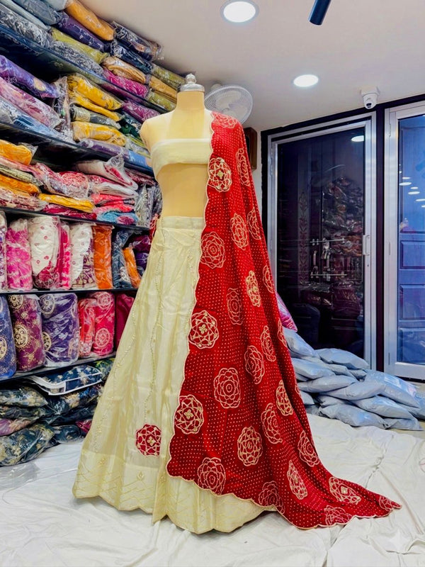 Cosmos Tissue Gota Patti Lehenga