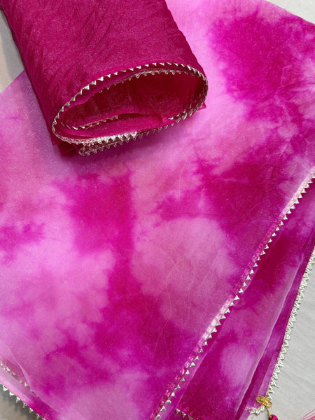 Pure Organza Saree