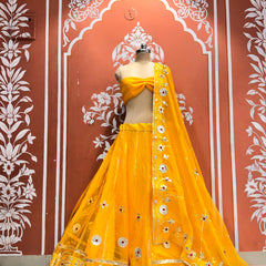Pure Organza Lehenga Set