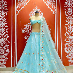 Pure Organza Lehenga Set