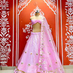 Pure Organza Lehenga Set