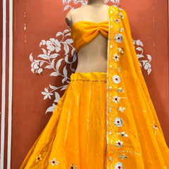 Pure Organza Lehenga Set
