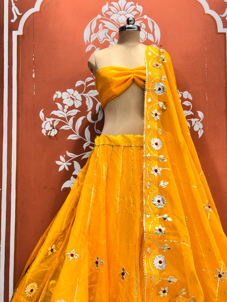 Pure Organza Lehenga Set