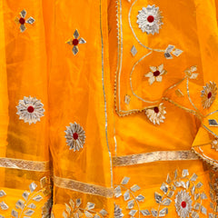 Pure Organza Lehenga Set