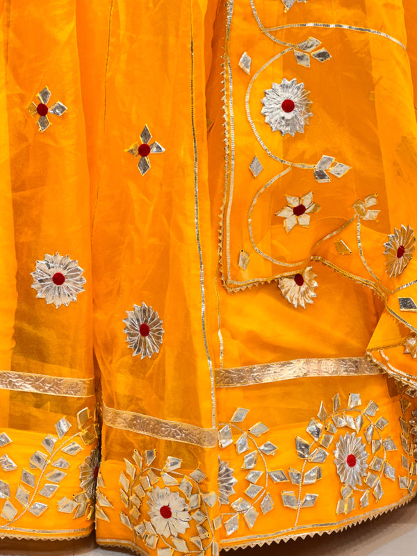 Pure Organza Lehenga Set