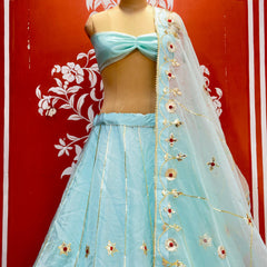 Pure Organza Lehenga Set