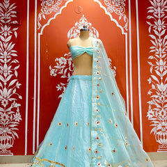 Pure Organza Lehenga Set