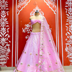 Pure Organza Lehenga Set