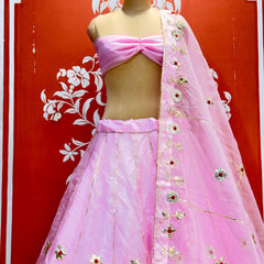 Pure Organza Lehenga Set