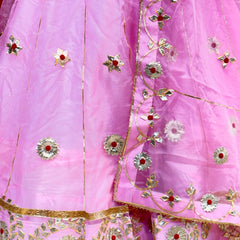 Pure Organza Lehenga Set