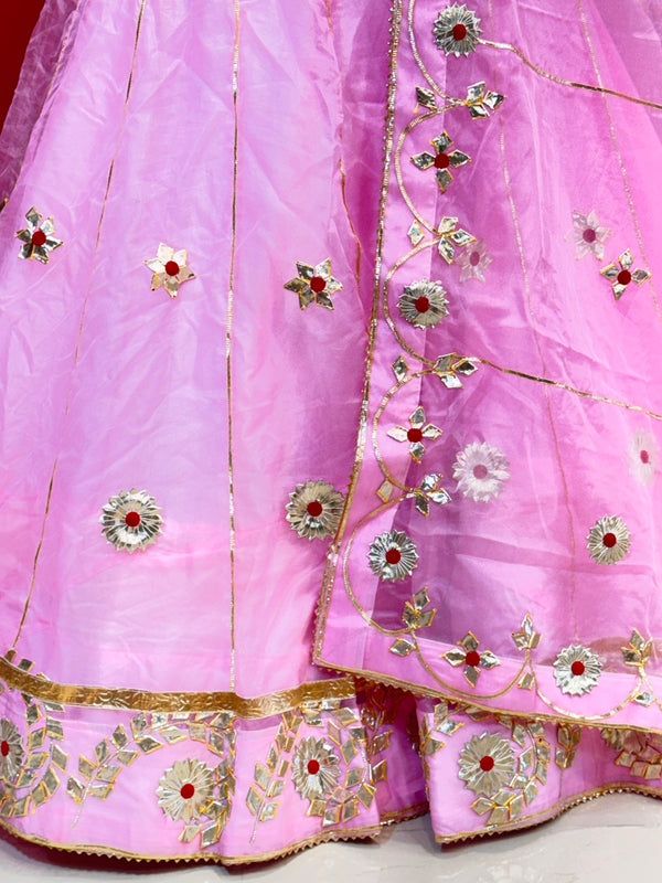 Pure Organza Lehenga Set