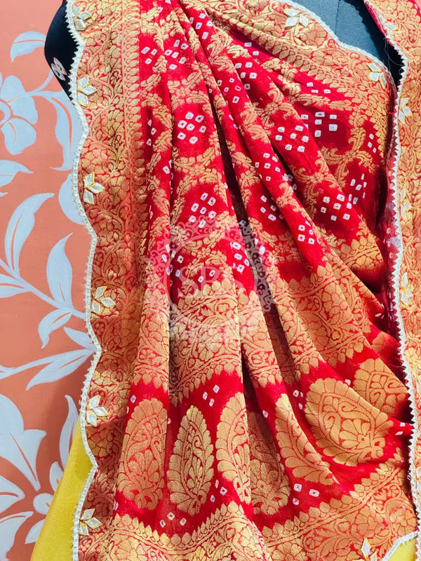 COSMOS TISSUE SILK LEHENGA WITH GHATCHOLA DUPATTA