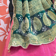COSMOS TISSUE SILK LEHENGA WITH GHATCHOLA DUPATTA