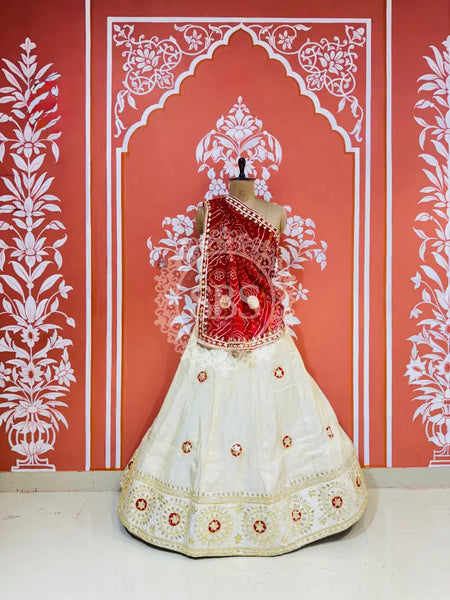 GOTA PATTI COSMOS TISSUE KACHI PATTI LEHENGA