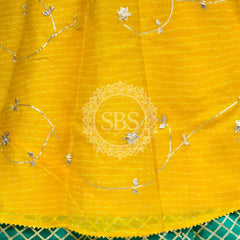 KOTA DORIYA KACHI PATTI DOUBLE BORDER LEHENGA