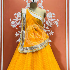 MOTHRA FULL FLARED LEHENGA