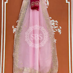 PITTAN WORK PURE CHIFFON SAREE