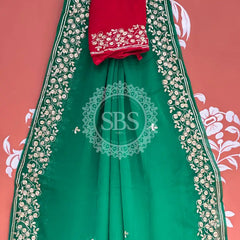 PITTAN WORK PURE CHIFFON SAREE