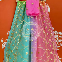 PURE CHIFFON KACHI PATTI SAREE