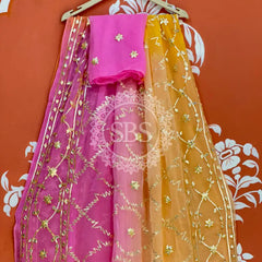 PURE CHIFFON KACHI PATTI SAREE