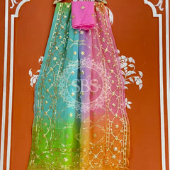 PURE CHIFFON KACHI PATTI SAREE Sky Blue & Pink / Free Size