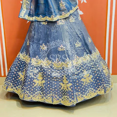 PURE COSMOS TISSUE HANDWORK GOTA PATTI LEHENGA