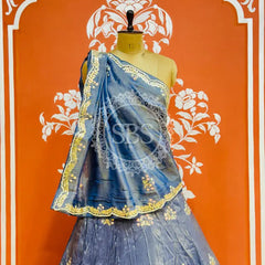 PURE COSMOS TISSUE HANDWORK GOTA PATTI LEHENGA