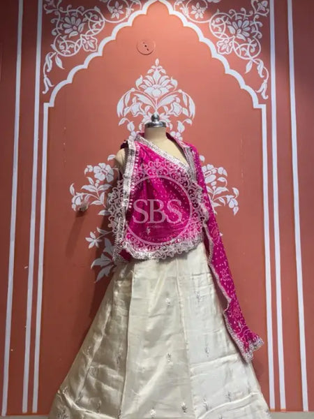 Pure Cosmos tissue Handwork Peacock Lehenga with Pure Georgette kacchi patti dupatta