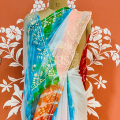 PURE DIAMOND CHIFFON PITTAN WORK SAREE