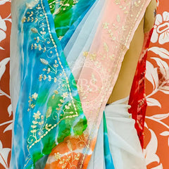 PURE DIAMOND CHIFFON PITTAN WORK SAREE