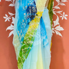 PURE DIAMOND CHIFFON PITTAN WORK SAREE