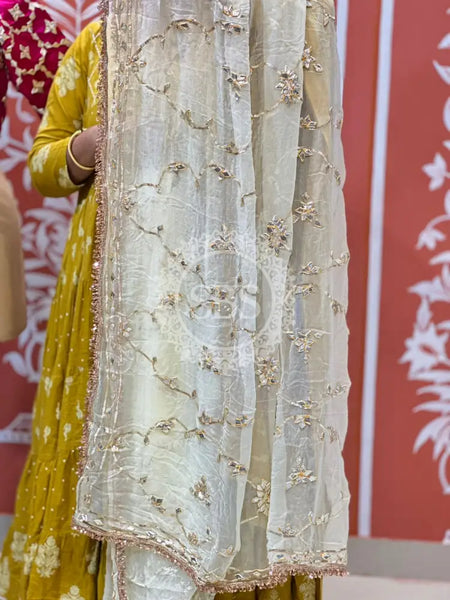 PURE DIAMOND CHIFFON SAREE WITH AANGI BLOUSE