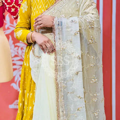 PURE DIAMOND CHIFFON SAREE WITH AANGI BLOUSE