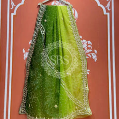 ROYAL GEORGETTE KACHI PATTI SAREE Green / Free Size